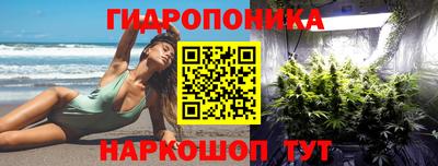 крисы Лесосибирск