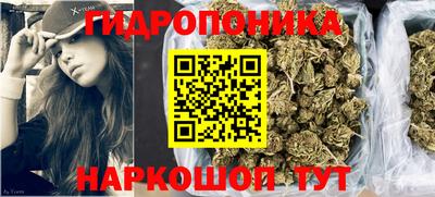 крисы Лесосибирск