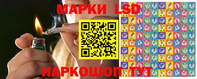 крисы Лесосибирск