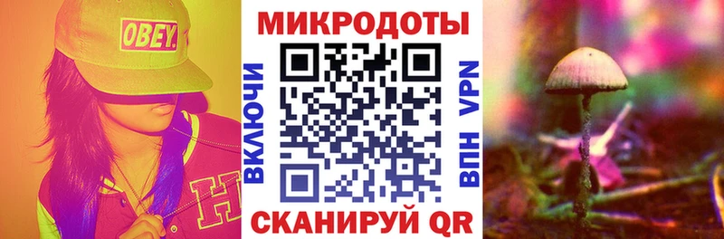 Галлюциногенные грибы мухоморы  omg как зайти  Реж 