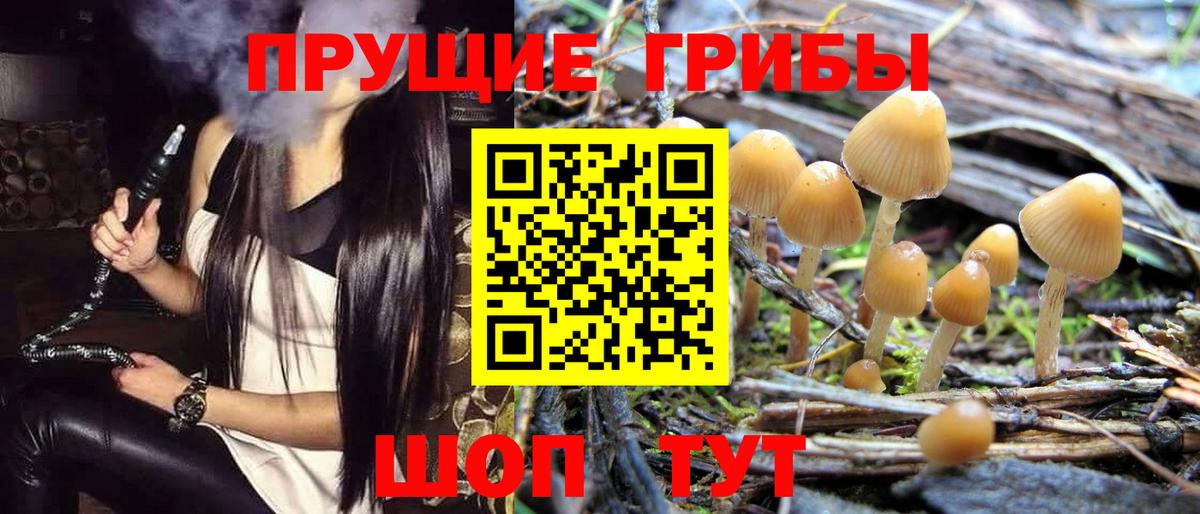 Галлюциногенные грибы MAGIC MUSHROOMS Реж