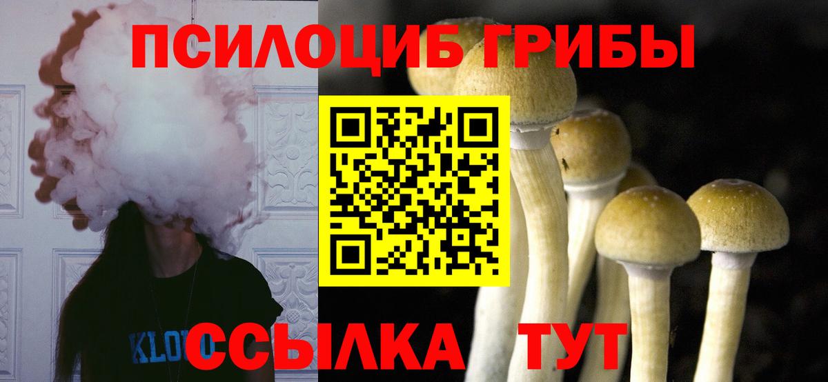 Реж  Галлюциногенные грибы прущие грибы  Вход с VPN 